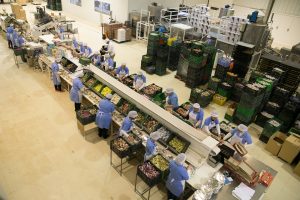 fabrica-de-mantecados-e.moreno